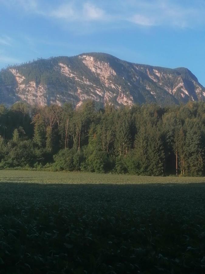 Appartment Resi Wohlfuehlen Und Relaxen Eberndorf Bagian luar foto